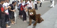 The artist wearing bear suit is walking toward a zoo like animal.
